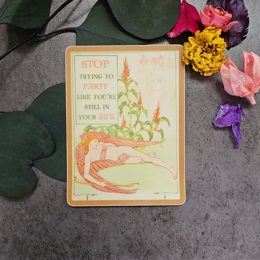 "Stop trying to party like you're still in your 20's." Sticker
